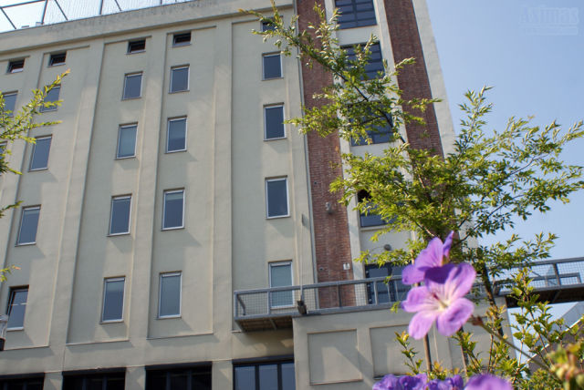 Bonka circus rents office in Silo T in Leuven